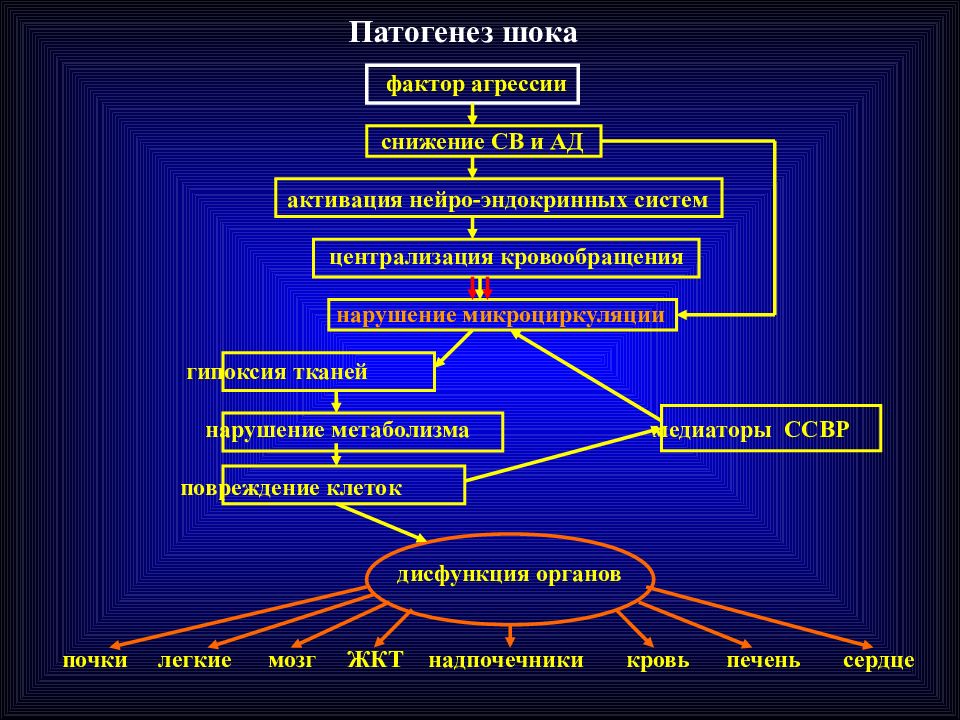 Патофизиология в картинках