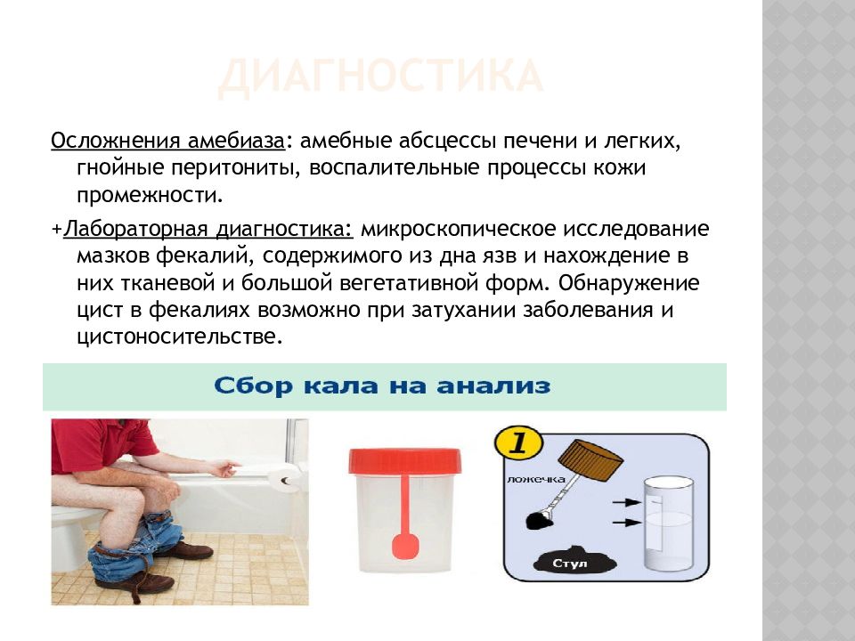 исследование мазков фекалий. исследование мазков фекалий. микроскопия гельминтов исследование кала. бак посев кала на кишечную инфекцию. исследование мазков фекалий.