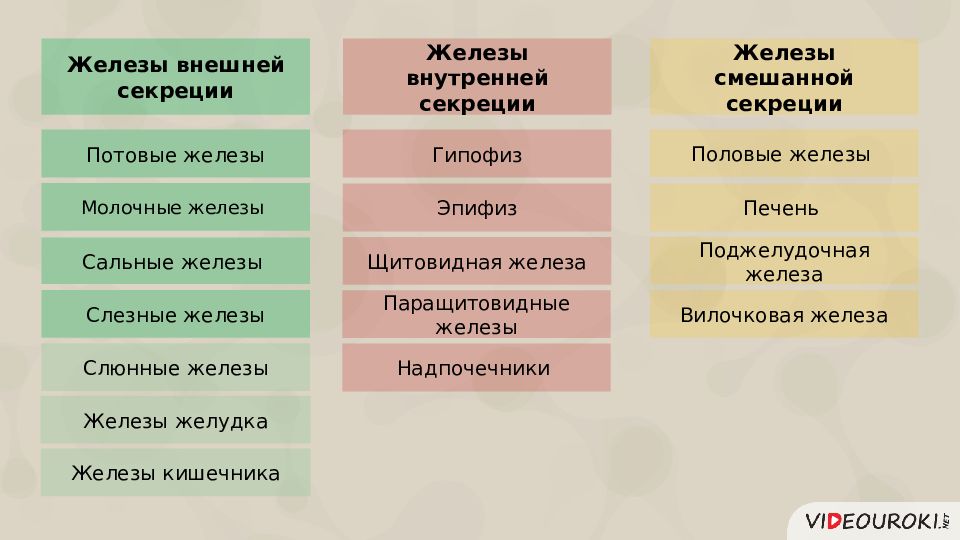 К смешанной секреции относятся. Перечислите железы смешанной (внешней и внутренней) секреции.. Железы внешней секреции гормоны. Железы внутренней внешней и смешанной секреции таблица. Железы внешней внутренней и смешанной секции.