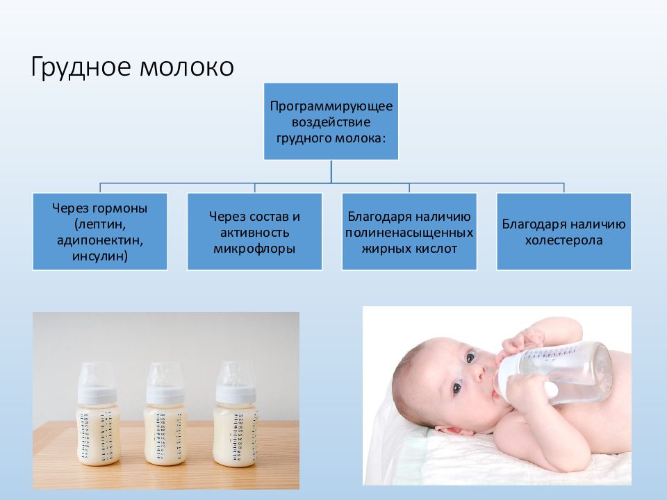 Грудное молоко 1. Грудное молоко. Преимущества грудного молока. Что содержится в грудном молоке. Формирование грудного молока.