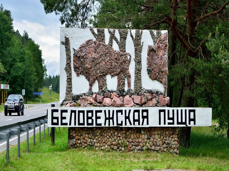 ОХРАНА РАСТИТЕЛЬНОГО МИРА