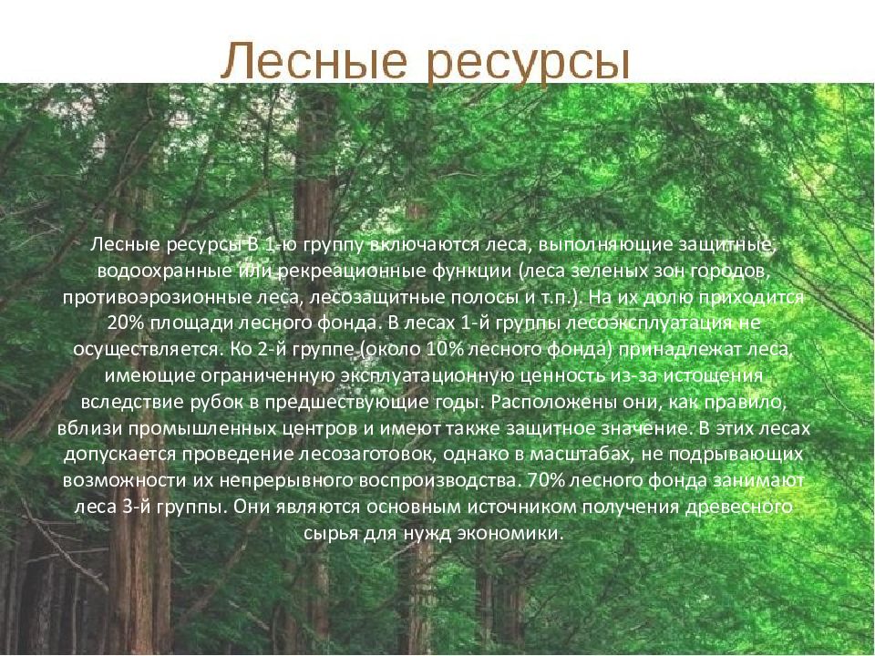 Богатства лесной зоны