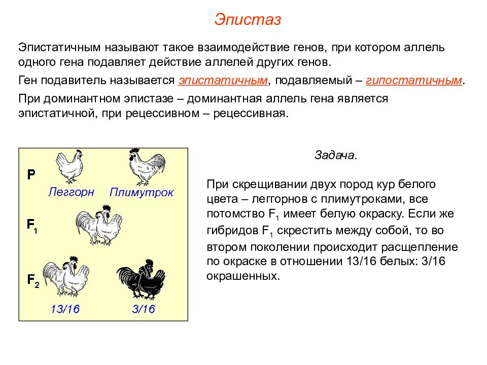 Взаимодействие генов презентация 10 класс