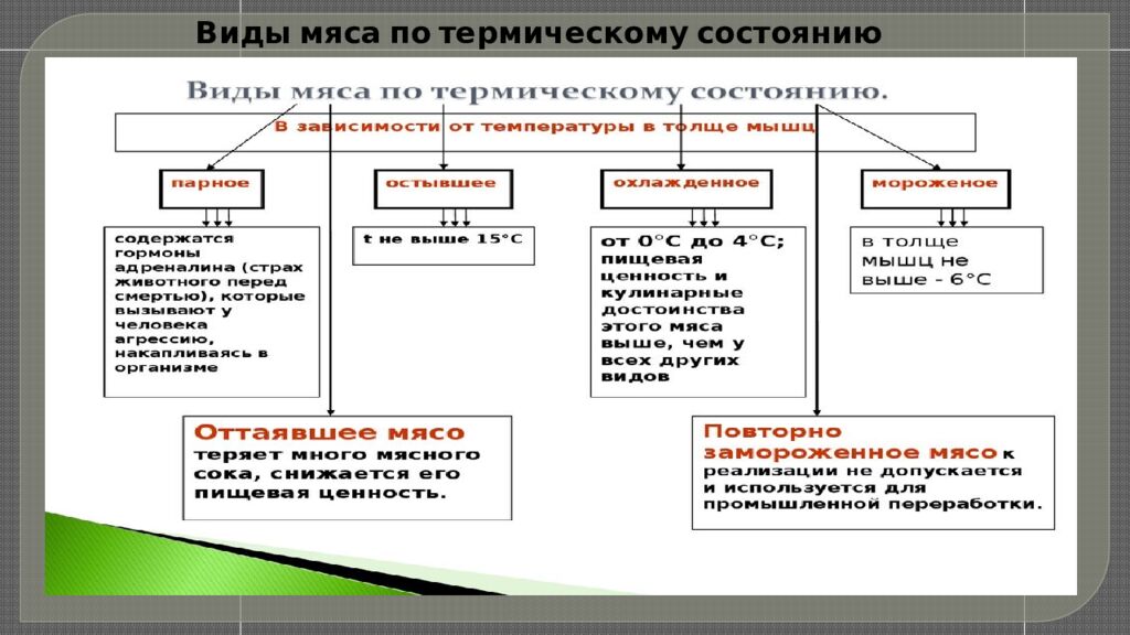 Виды мяса по термическому состоянию