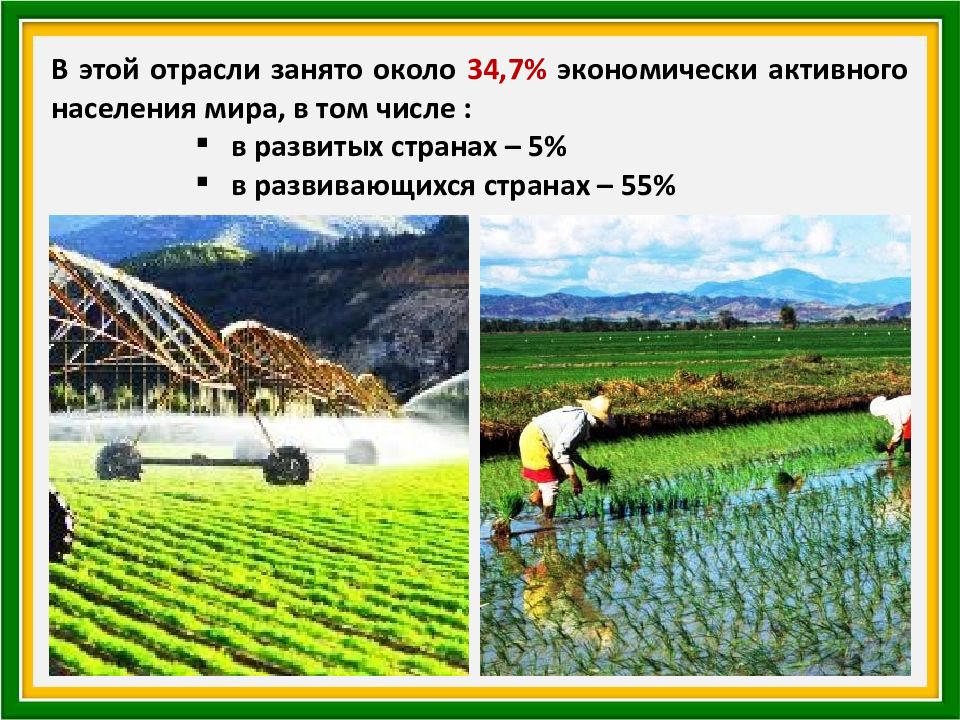 География сельское хозяйство мира презентация 10 класс география