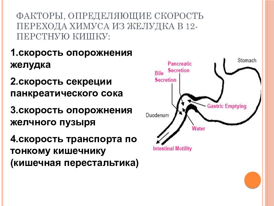 Сосудистый рисунок смазан в желудке