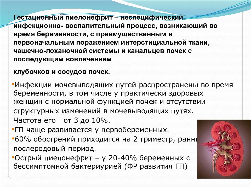 Презентация инфекция мочевыводящих путей у детей