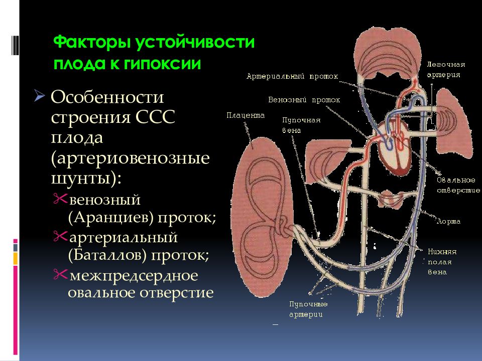 Гипоксия картинки для презентации