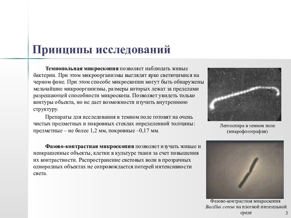 Микроскопия алгоритм