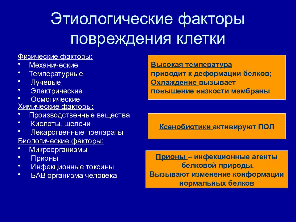 Механического и биологического факторов. Этиологические факторы повреждения клетки. Этиологические факторы патофизиология. Этиологические патогенные факторы и повреждения. Этиологические факторы повреждения клетки патофизиология.