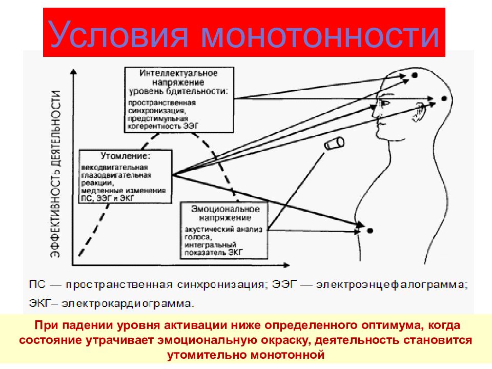 Психофизиология сознания презентация