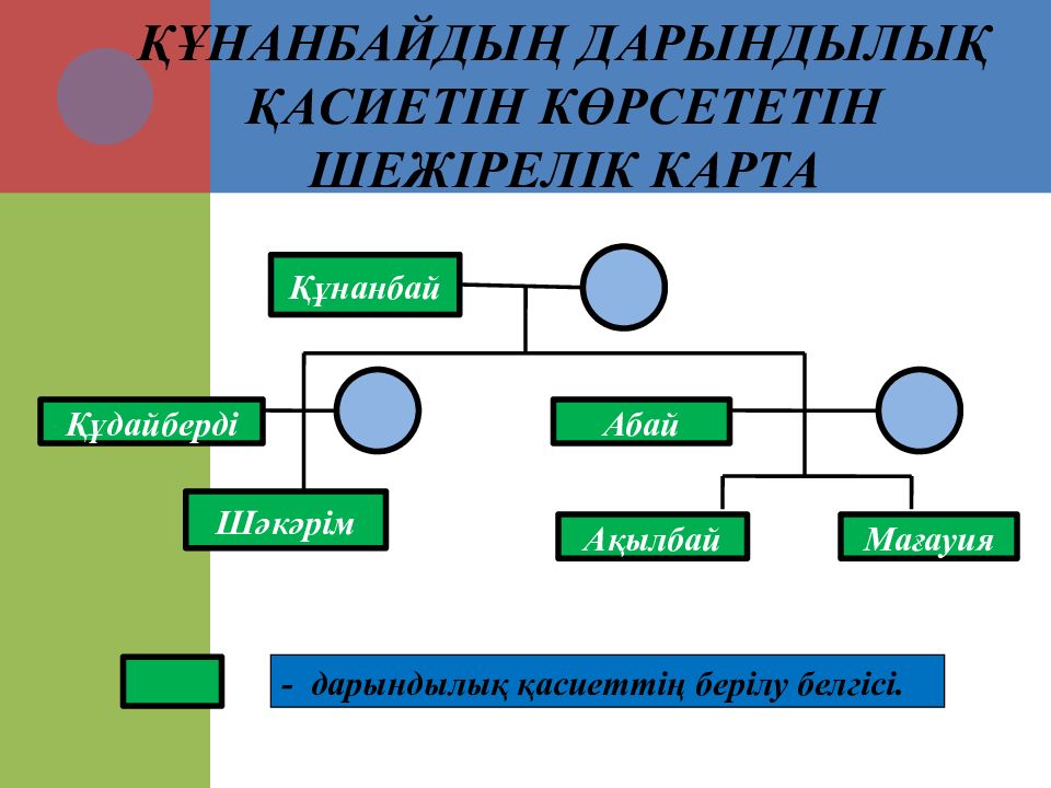 Презентация адам генетикасы