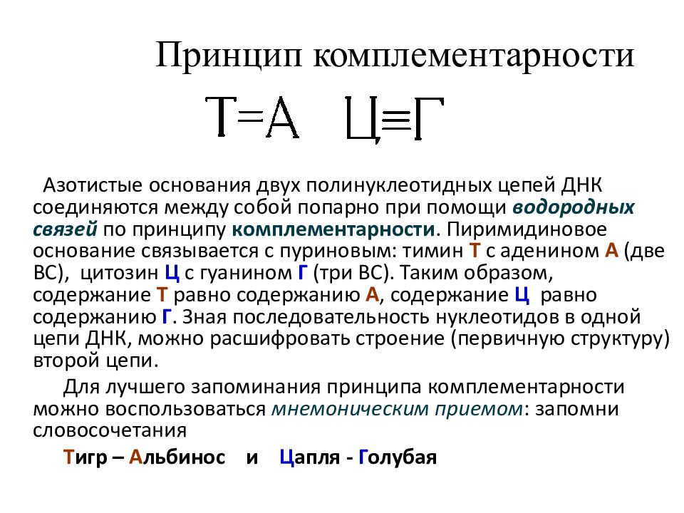 Принципы строения молекулы дезоксирибонуклеиновой кислоты комплементарность нуклеотидов презентация