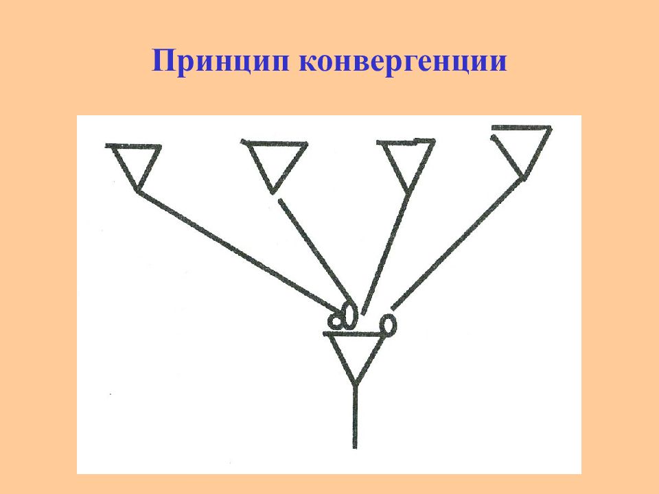 Конвергенция стенок это