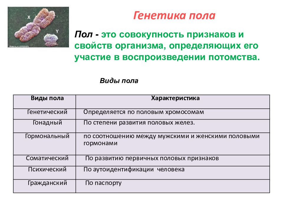 Основные закономерности наследственности 10 класс презентация