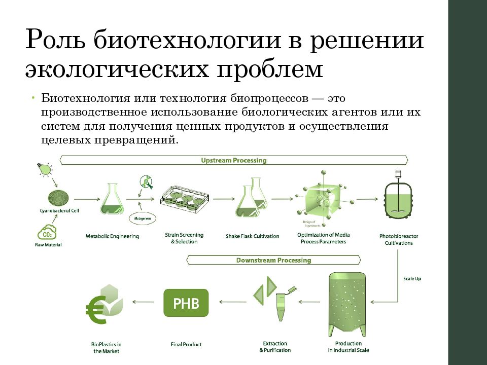 Проблемы биотехнологии в экологическом плане