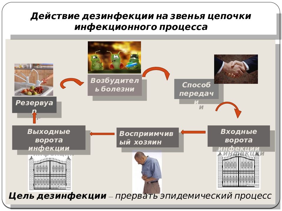 Схема цепочки инфекционного процесса