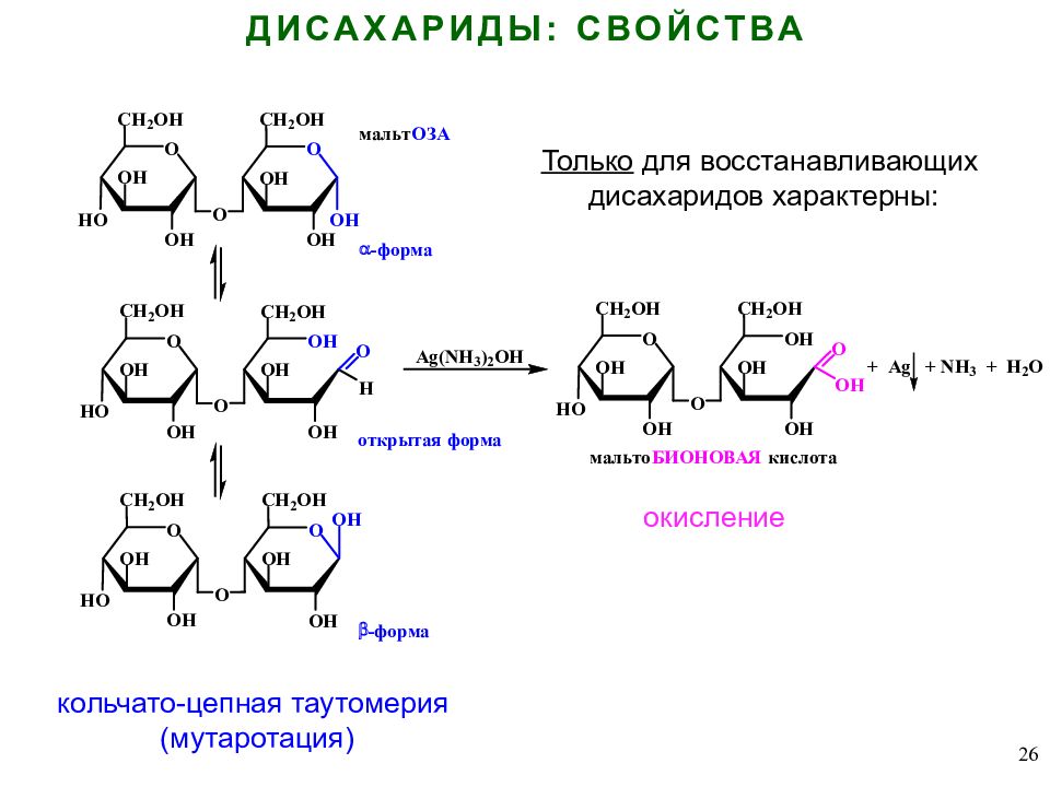 Углеводы дисахариды презентация