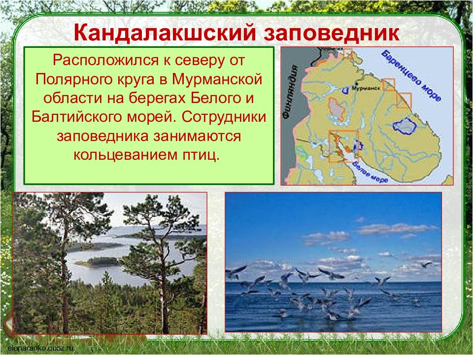 Картинки кандалакшский заповедник