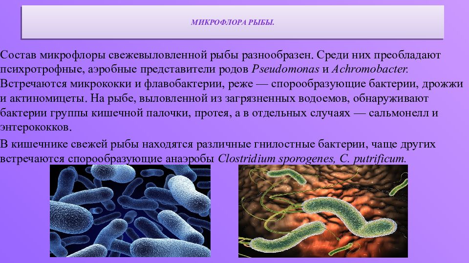 Микробиология рыбных продуктов презентация