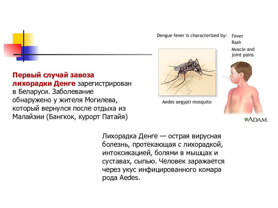 Лихорадка денге картинки