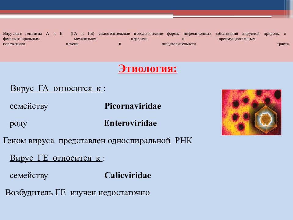 вирусные гепатиты с фекально-оральным механизмом передачи. механизм передачи вирусного гепатита в. к вирусным гепатитом с фекально-оральным. заболевания с фекально-оральным механизмом передачи. гепатит а эпидемиология.