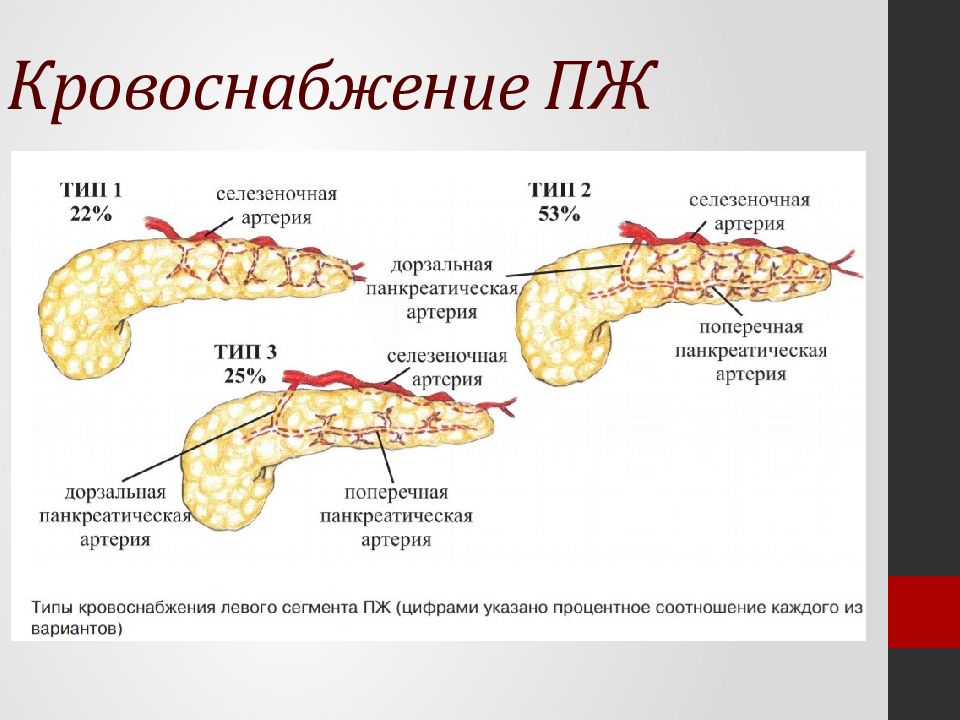 Хирургические заболевания поджелудочной железы презентация