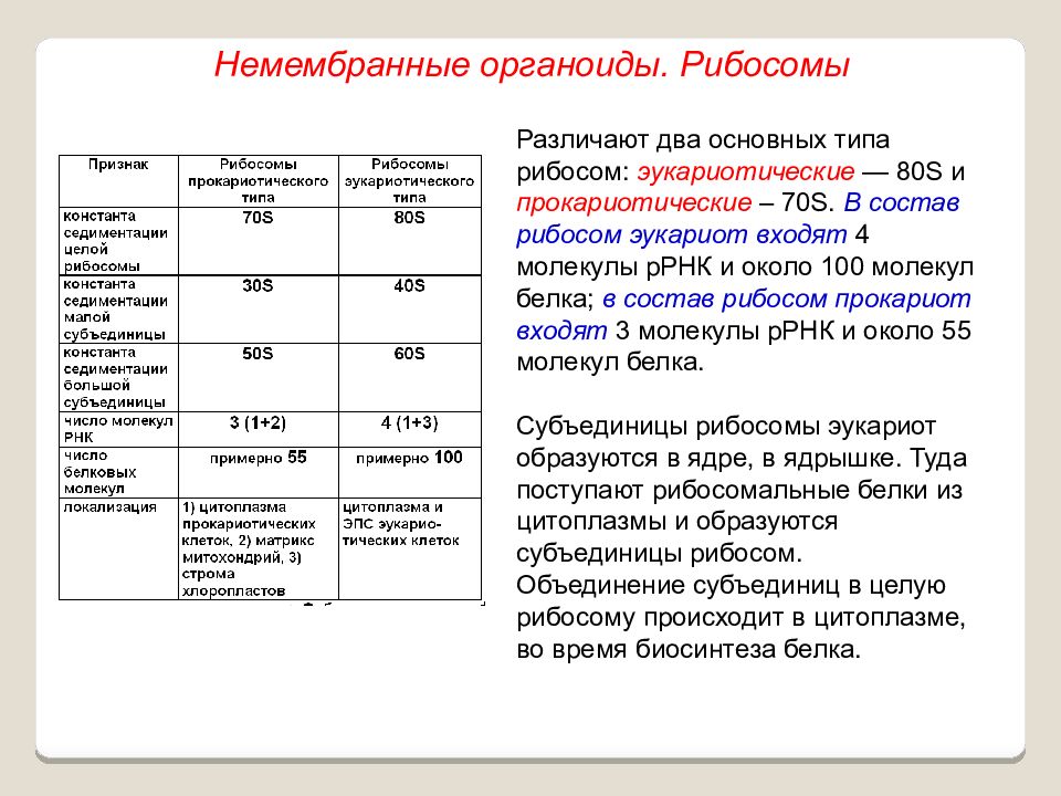 Немембранные органоиды эукариот