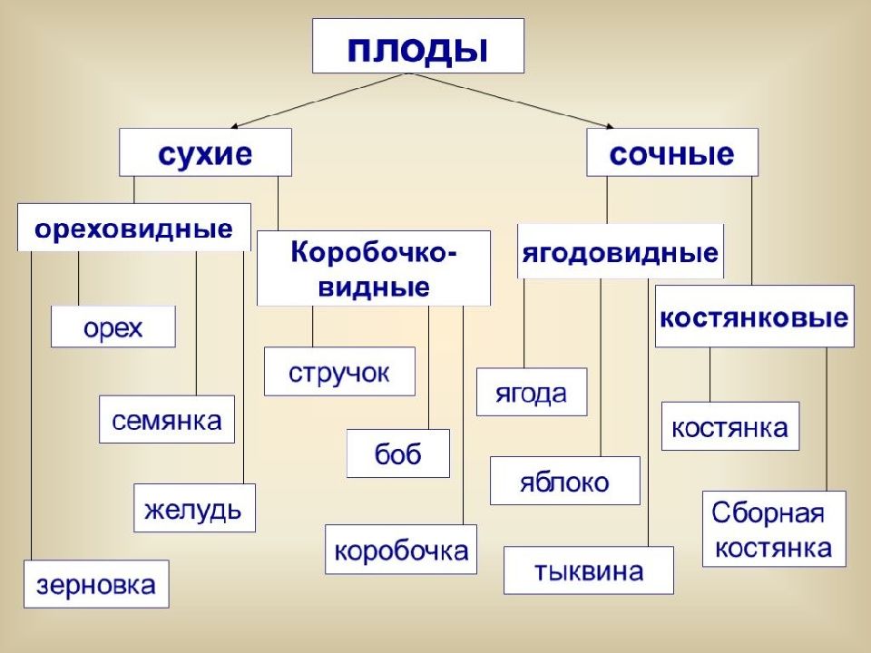 Какие бывают схемы