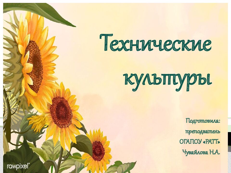 Технические культуры