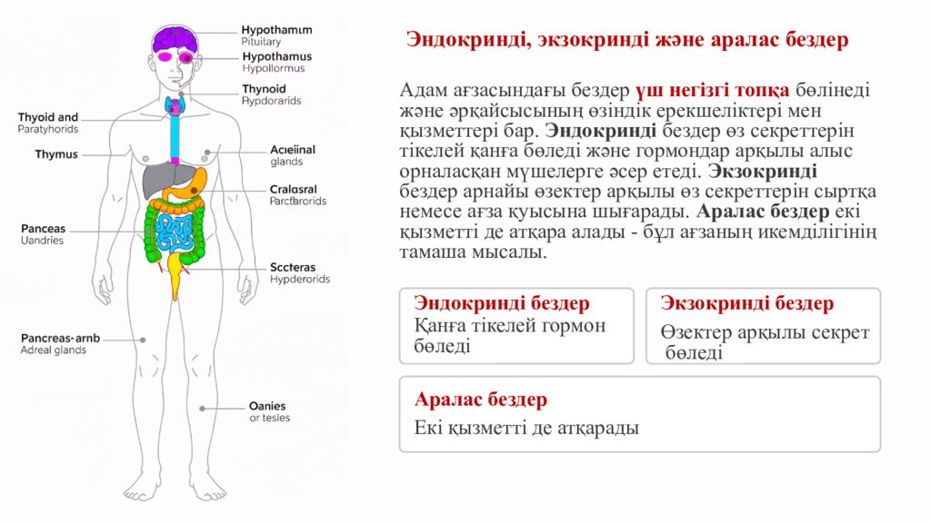 ПСИХОЛОГИЯЛЫ Қ АТМОСФЕРА ОРНАТУ Додокоэдр» тәсілі бойынша жағымды психологиялық