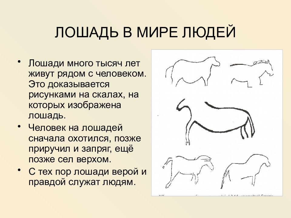 Презентация ботайская культура