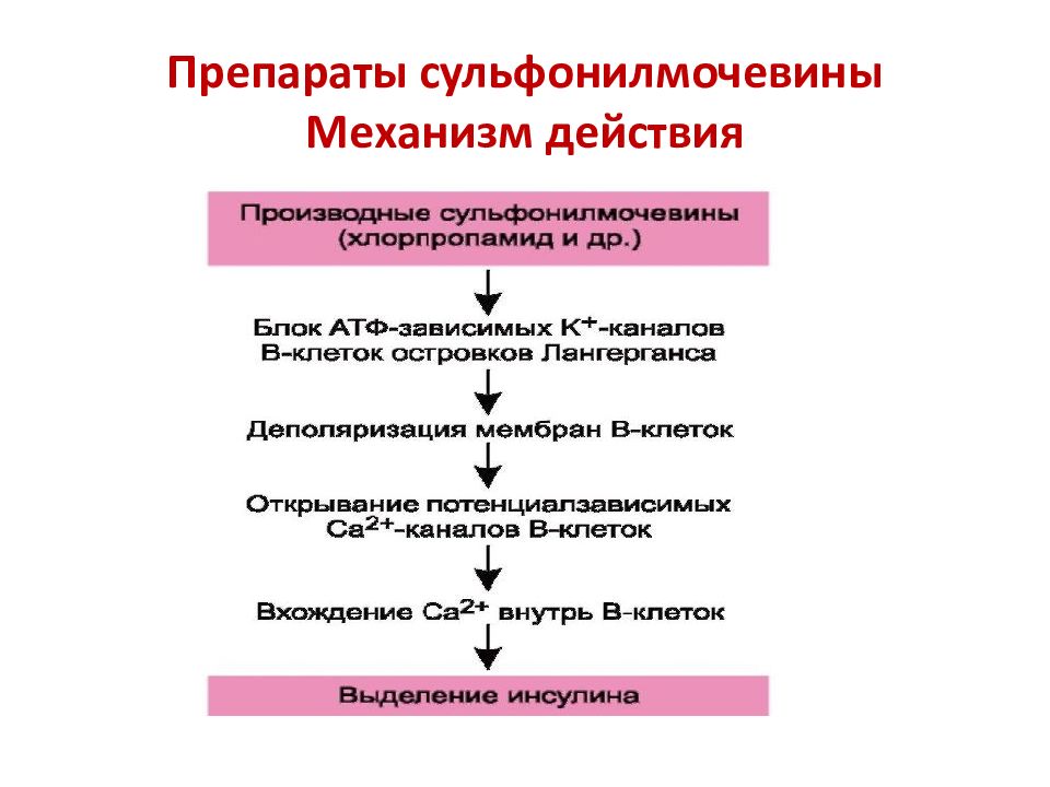 Патогенетическое лечение туберкулеза презентация