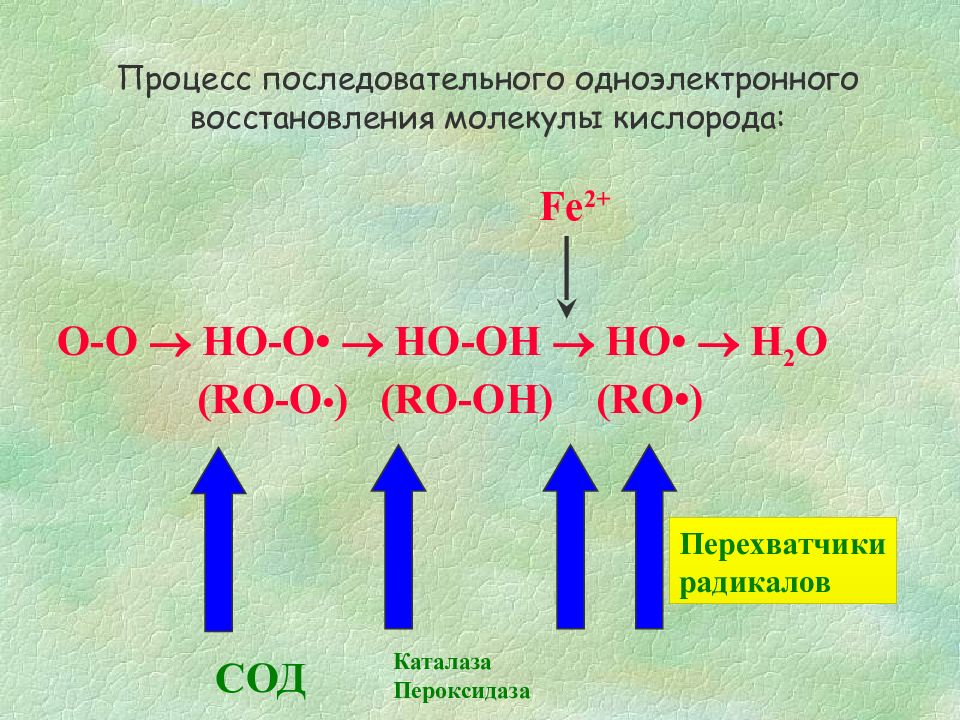 Fe кислород