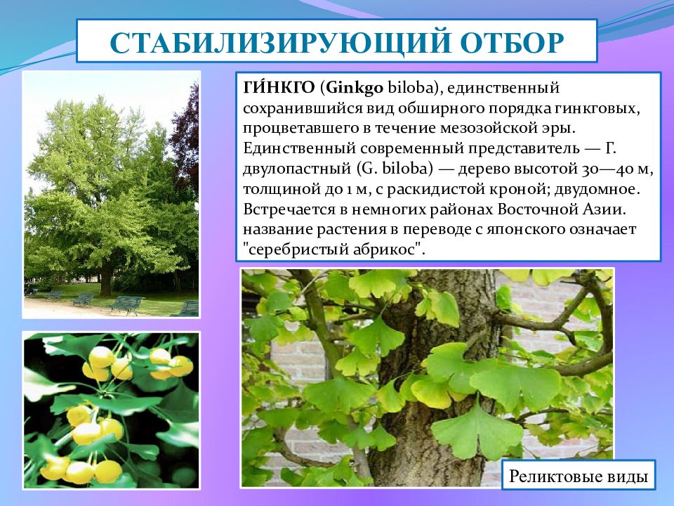 Документ без названия