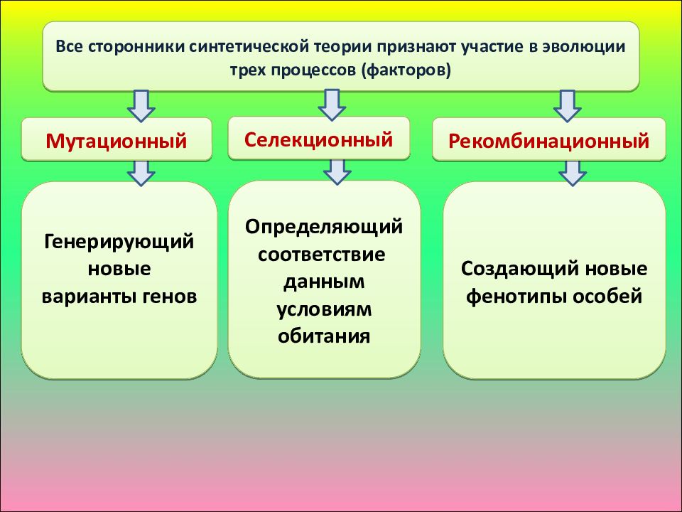 Стэ презентация 11 класс