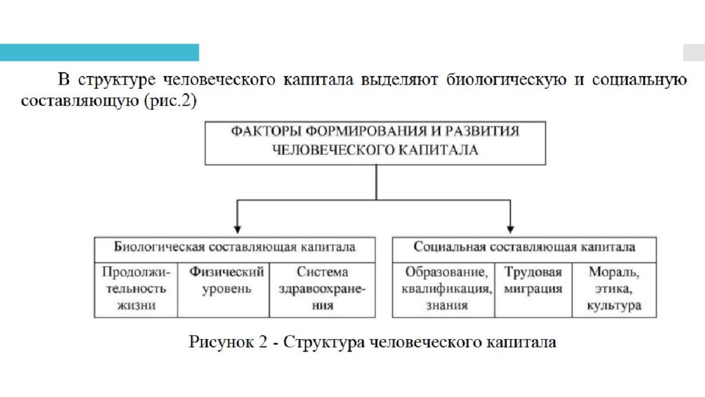 ЧЕЛОВЕЧЕСКИЙ КАПИТАЛ. АКТИВЫ, ПАССИВЫ, ДОХОДЫ, РАСХОДЫ