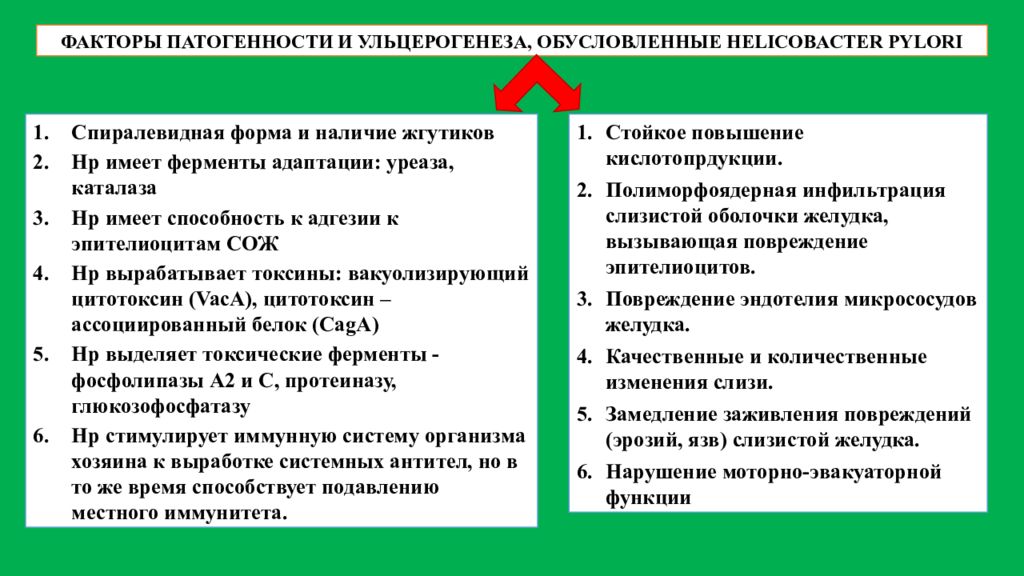 Ульцерогенез. Факторы патогенности Helicobacter pylori. Факторы патогенности хеликобактер пилори. Повреждающие факторы хеликобактер пилори. Факторы ульцерогенеза.