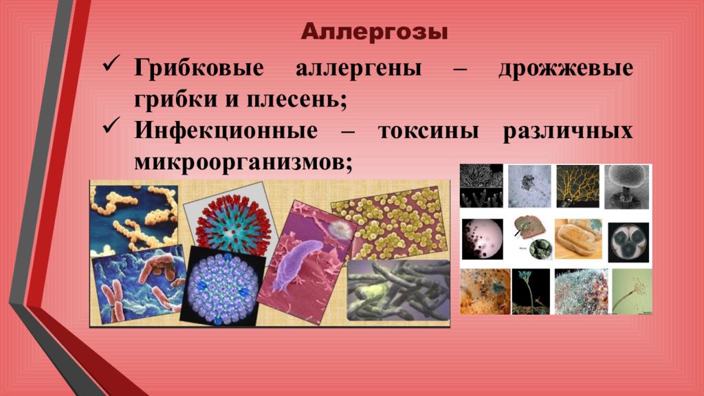 Аллергозы. Острые аллергозы. Презентация аллергозы. Острые аллергозы у детей. Аллергозы классификация.