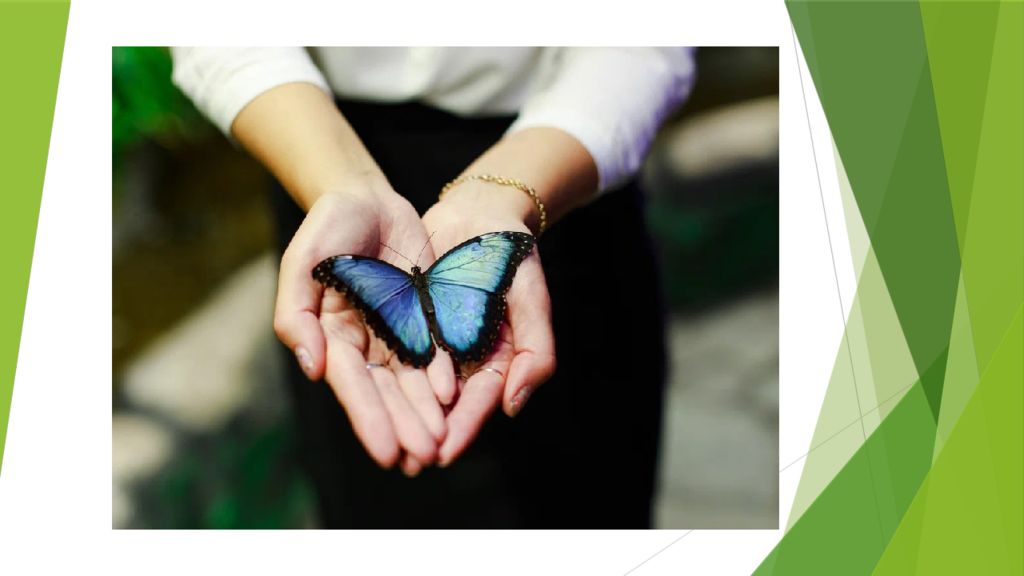 Доклад Александренко А.Ю