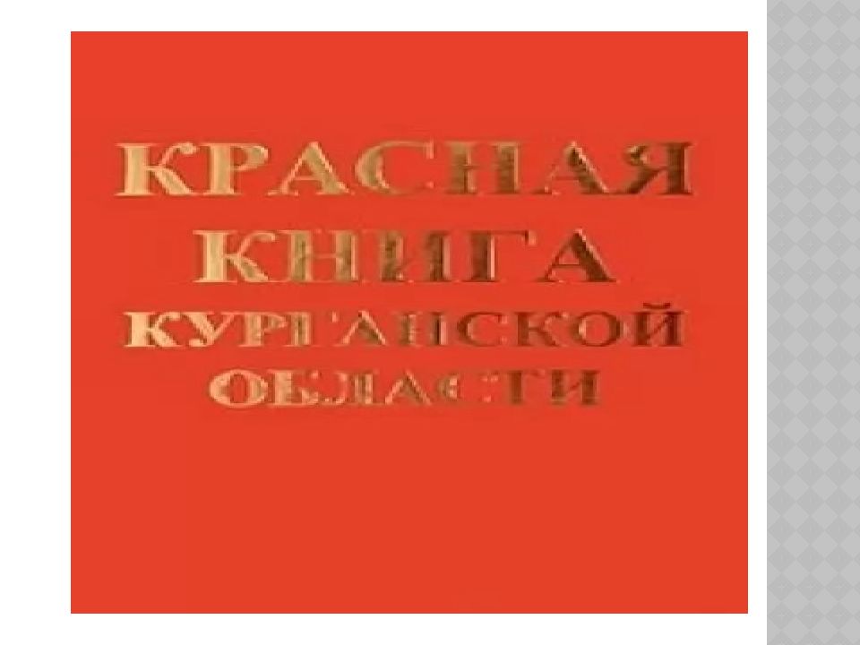 Красная книга курганской области растения и животные презентация