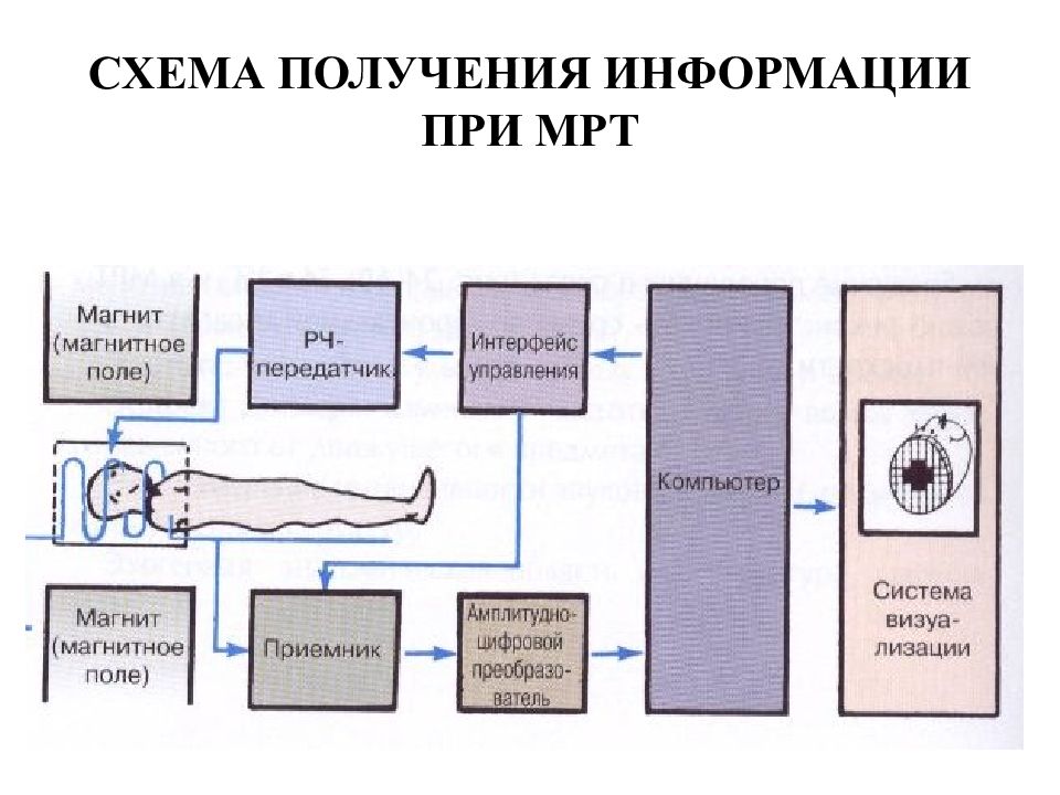 Принципы получения изображения