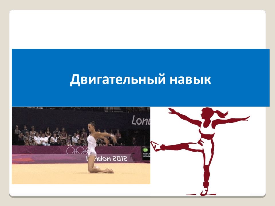 Физиология физического воспитания и спорта