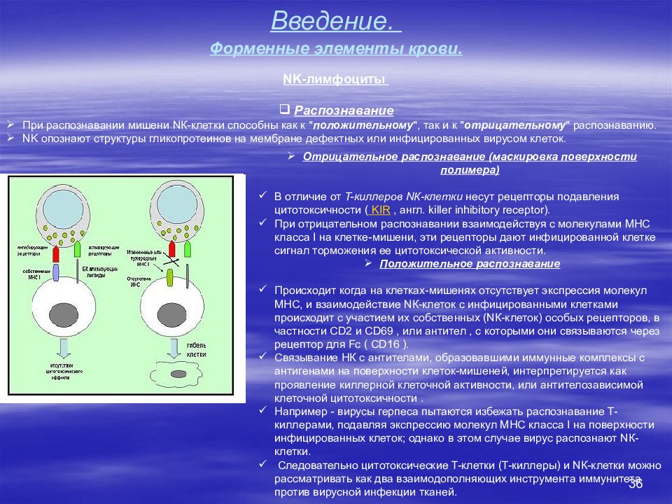 Этапы распознавания. Клетки мишени натуральных киллеров. Т киллеры распознают клетки мишени. Клетки мишень т киллера. Распознавание клеток мишеней.