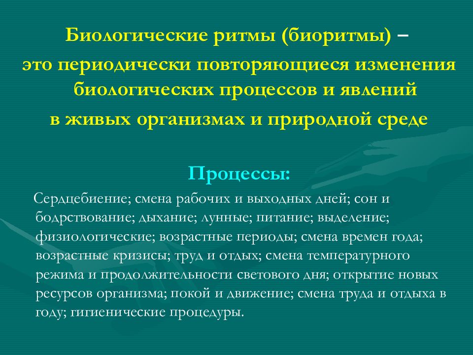 Биологические ритмы и их влияние на работоспособность человека презентация