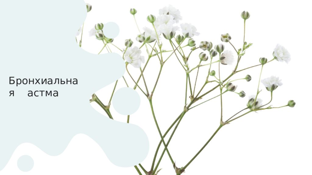 Бронхиальная астма