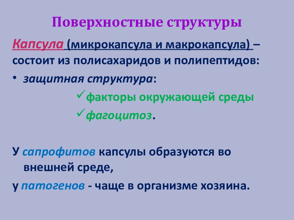 Поверхностная структура. Поверхностные структуры бактерий. Микрокапсула и макрокапсула. Из чего состоит макрокапсулы.