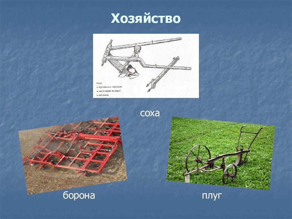 Соха и борона картинки