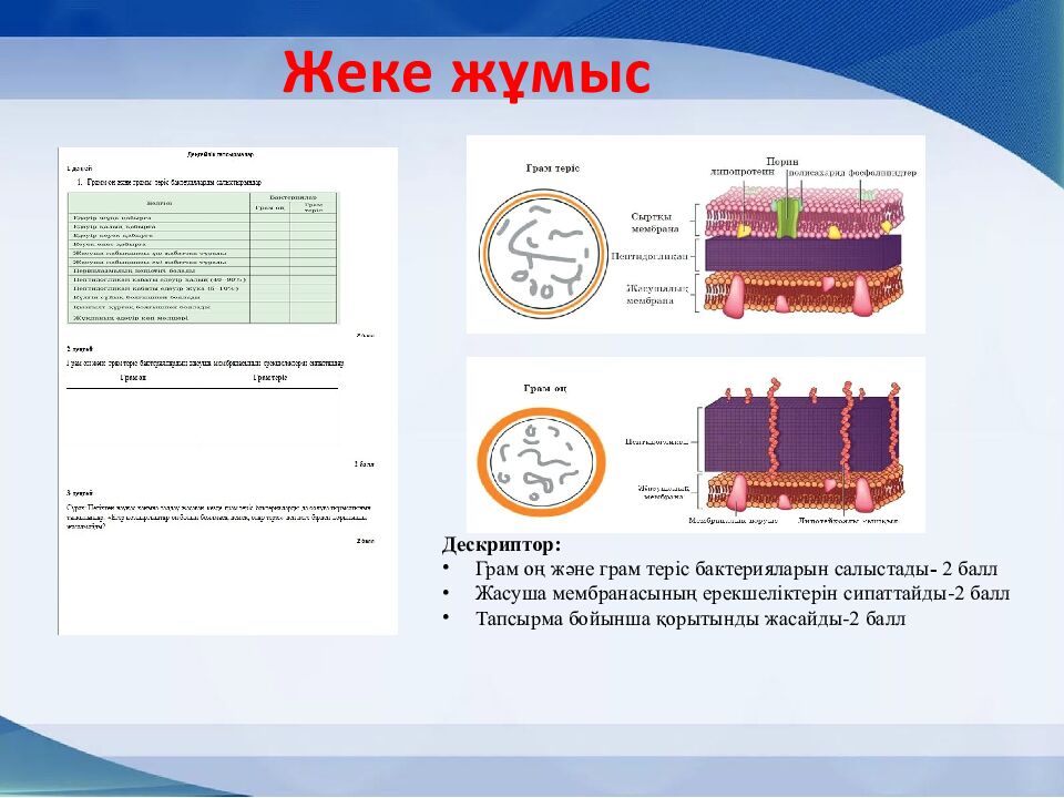 Сагымбаева Гульнур Жанузаковна №32 мектеп-гимназиясы б иология