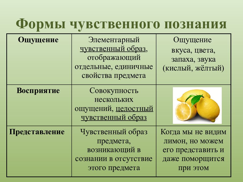 Чувственное познание презентация